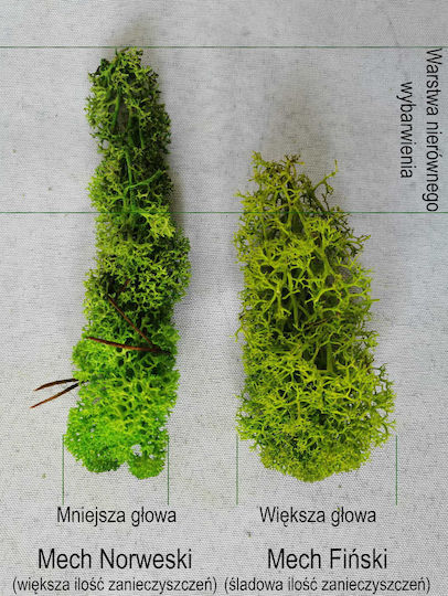 Reindeer Moss Norway Spring Green 50g Net Weight