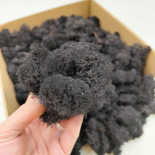 Reindeer Moss Finnish Cleaned Black 250g Net
