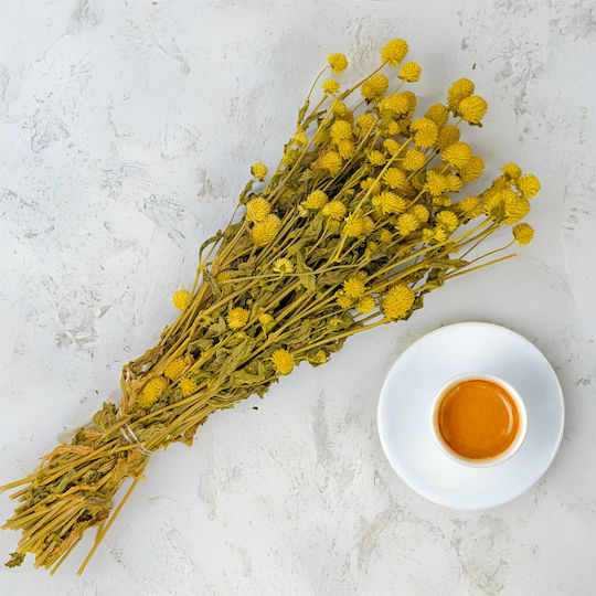 Dried Globe Amaranth Globe Everlasting Yellow