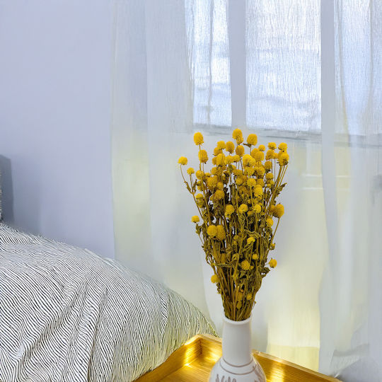 Dried Globe Amaranth Globe Everlasting Yellow