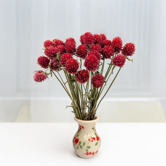 Dried Globe Amaranth Bouquet Globe Everlasting Red