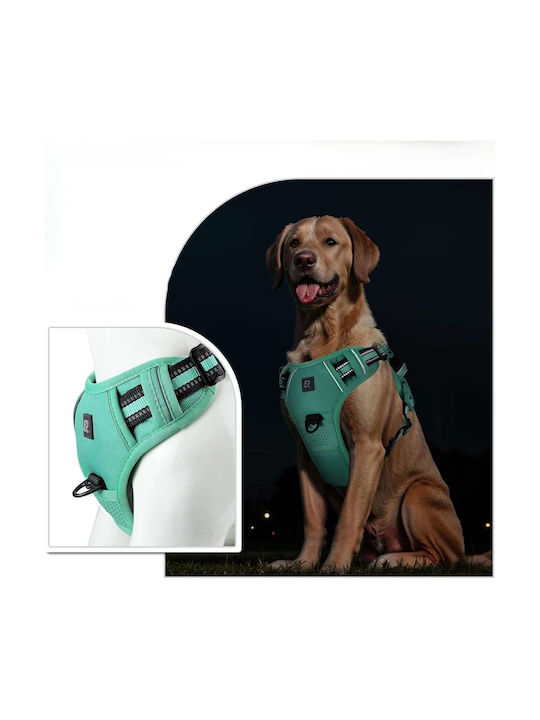 Adjustable Reflective Breathable Turquoise Dog Chest Harness M
