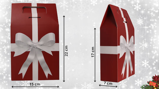 Mona Paper Christmas Gift Bag 22x7x15cm 4 Pieces