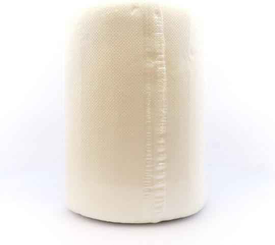 Zebra Economy Küchenpapier Rolle 2 Lagen 300gr/Rolle