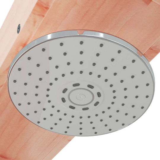 vidaXL Pool Shower 76x210 cm Brown