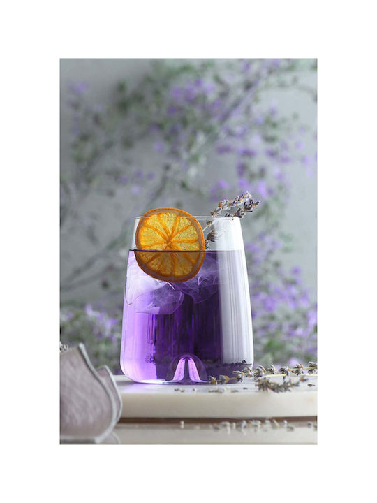 SteweHome Set of Glasses for White and Red Wine Made of Glass 475ml 6 Pieces