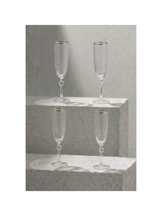 SteweHome Set of Coffee/Freddo Glasses Made of Glass 150ml 4 Pieces