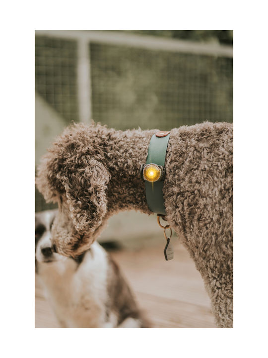 Осветено Orbiloc Dog Dual Червено