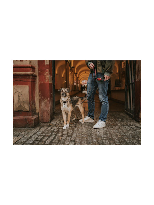 Осветено Orbiloc Dog Dual Червено