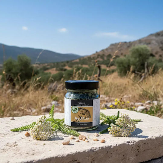 Iperos Herbs Αχιλλέα Βιολογικό Προϊόν 20gr