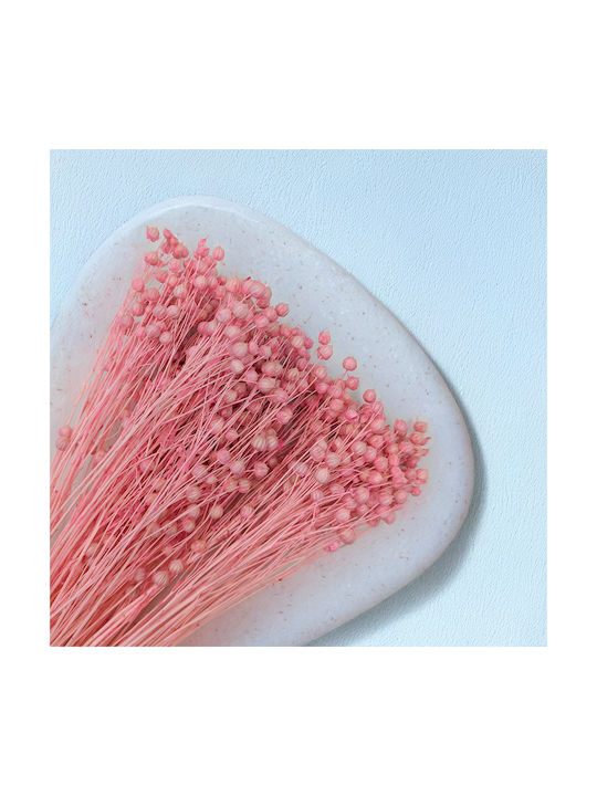 Dried Len Light Pink