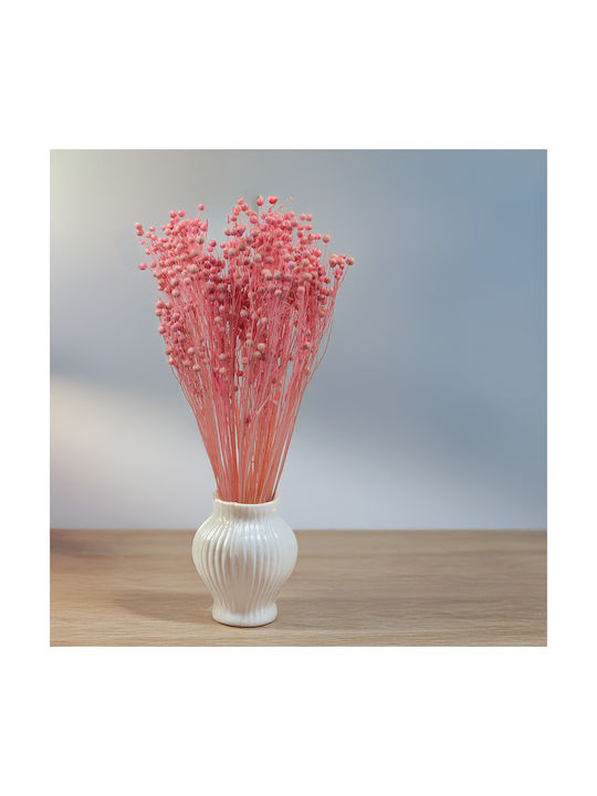Dried Len Light Pink