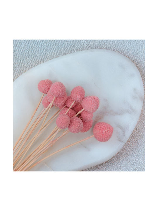Getrockneter Craspedia Craspedia Extra Rosa Blumenstrauß 15 Stück