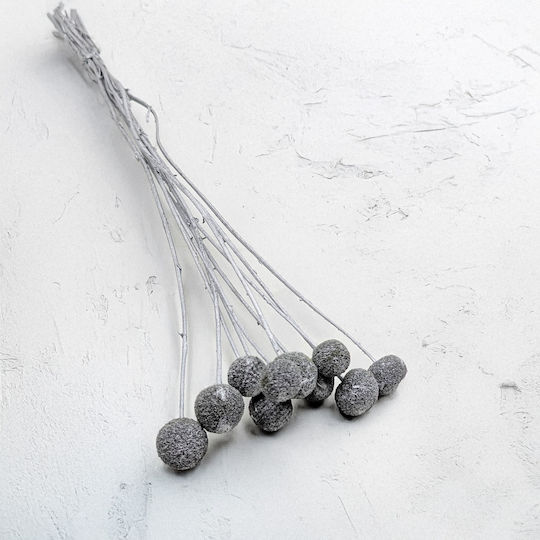 Getrocknete Craspedia Craspedia Silber 10 Stücke