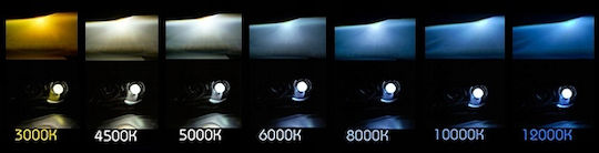 D1s Xenon Birne Xenon Autolampe 5000K Plus 100%