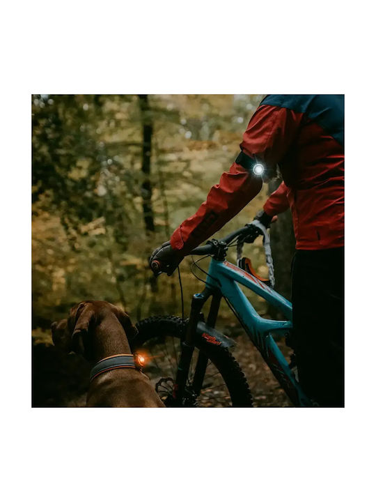 Orbiloc Dual K9 Active Pack Hundehalsbänder