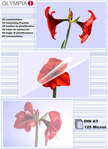 Olympia Din A3 125 Micron Laminating Sheets A3 125 Micron 25 Pieces