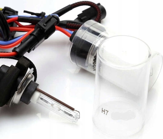 M-Tech Car And Motorcycle Lamp H7 Xenon 12000K Cold White 12V 35W