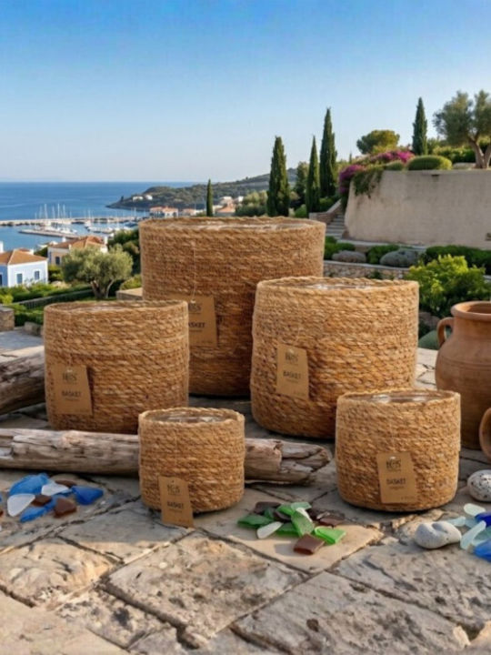 Zaros Κασπώ Πολύχρωμο 12x12εκ.