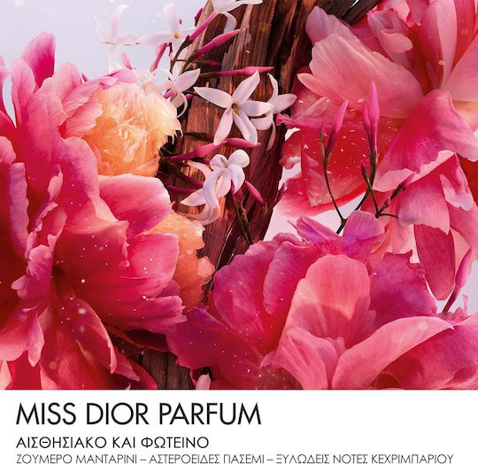 Dior Miss Dior Solid Parfum 20ml