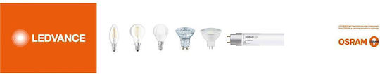 Osram Rezistent la apă Proiector LED 30W Alb Natural 4000K IP65
