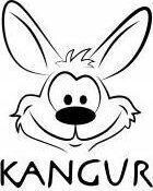 Επιτραπέζιο Παιχνίδι Quiz (PL) Kangur