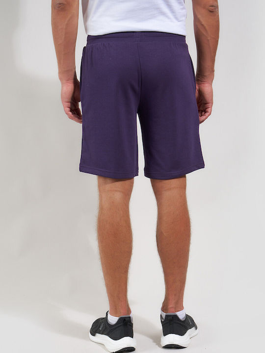 Sports Men's Bermuda Shorts Purple