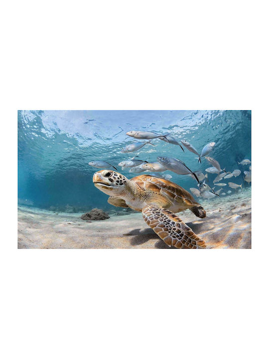 Dimcol Αντιολισθητικό Πατάκι Μπάνιου Sea Turtle 261 33463065005 Πολύχρωμο 60x100εκ.