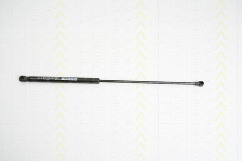 Triscan 8710 38220 Kofferraum-Schockabsorber