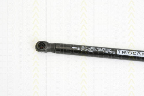 Triscan 8710 38220 Kofferraum-Schockabsorber