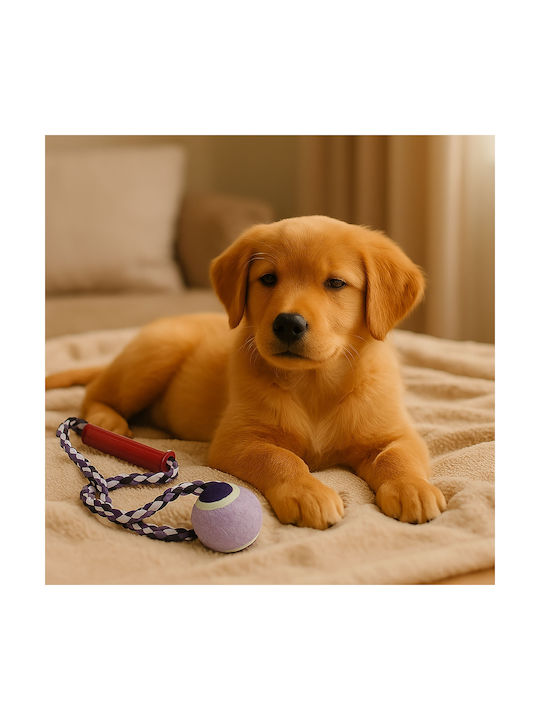Rope Dog Toy for Puppy Chewing Purple 1 Piece