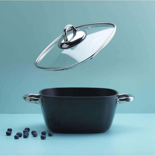 SteweHome Deep Cast Iron Stockpot 2.5lt /