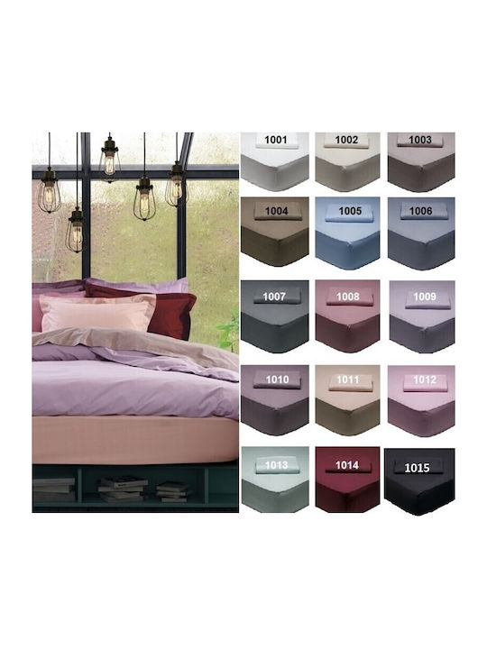 Das Home Bettlaken Super-Doppel mit Gummiband 170x200+35cm. Best 1002 Beige
