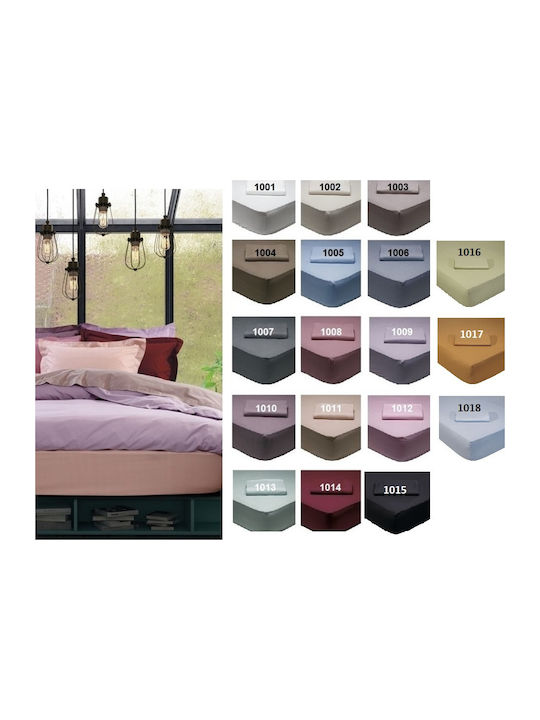 Das Home Sheet for Single Bed with Elastic 100x200+35cm. Best 1005 Individual