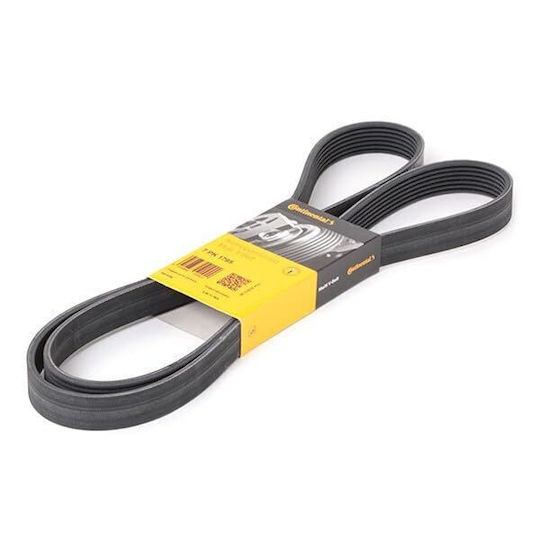 Contitech 7 Pk 1795 Multi-rib Belt