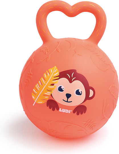 Ludi Ludi Baby Rasseln