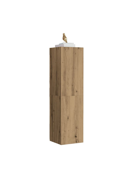 Hanging Living Room Cabinet made of Particle Board with Lighting Brown 30.5x30x110cm