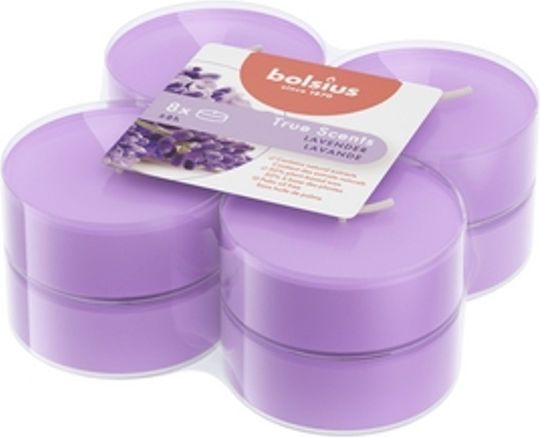 Bolsius True Scents Tealights With Lavender Scent In Purple Colour Up To 8 Hours Duration 8 Pieces