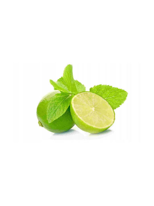 Yankee Candle Lichid de Reumplere pentru Difuzor cu Aromă Vanilla Lime 2buc 18.5ml
