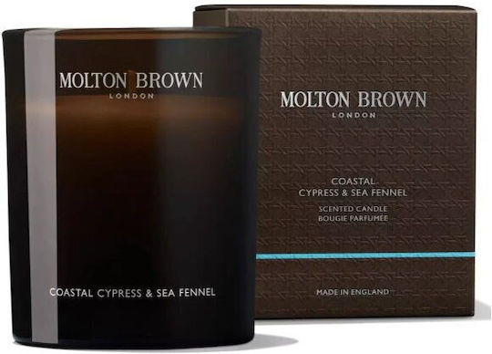 Molton Brown Diffuser mit Duft Küstenzypresse & Meerfenchel 5110315 150ml