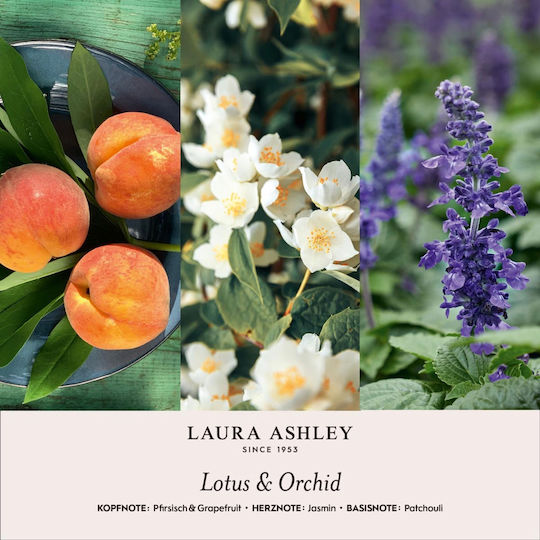 Гипсов Аромат За Дома Етерично Масло Лотус И Орхидея 200г Laura Ashley A2575 00055844
