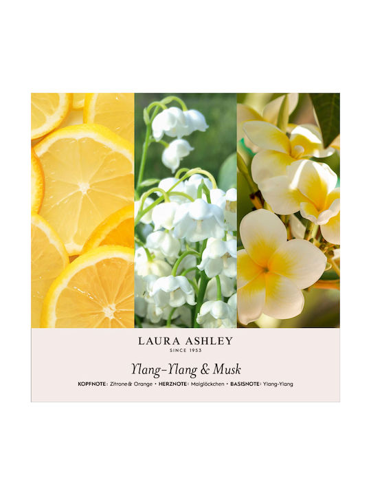Gypsum Home Fragrance Essential Oil Ylang Ylang & Musk 200g Laura Ashley A2571 00055847