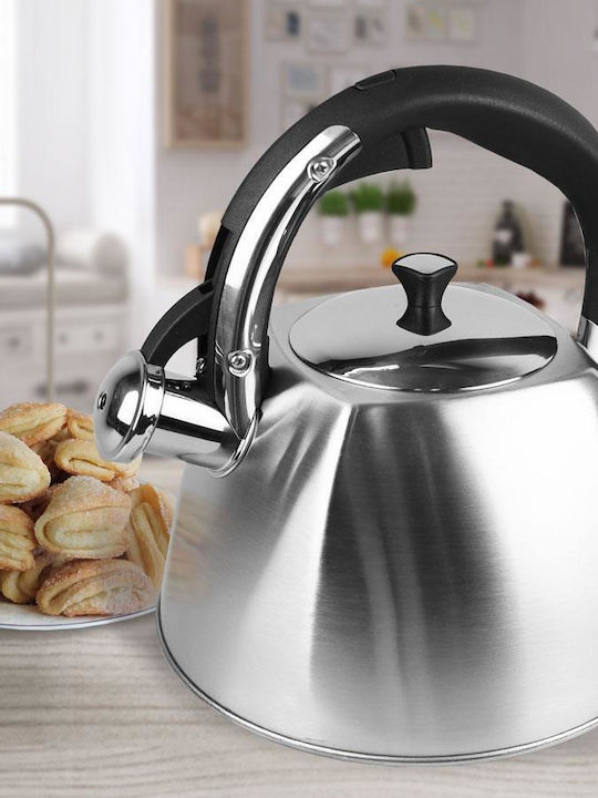 Maestro Teapot Stainless Steel Gray 3000ml