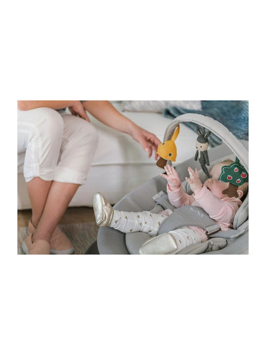 Nuna Manual Baby Relax Leaf Grow Biscotti for Child up to 9kg