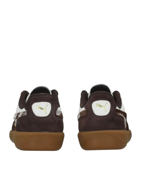 Palermo Women's Sneakers Brown