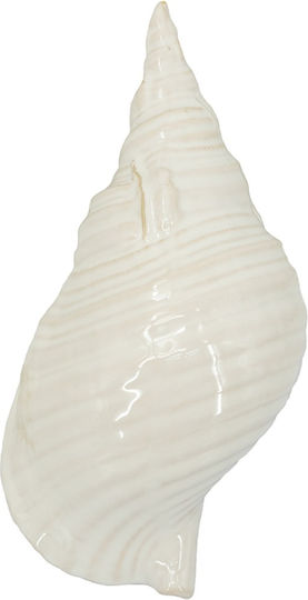 Artekko Andes Weißes Keramik Tischdekoration Muschel 31x15x11 cm