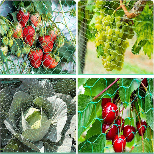Vitolog Bird Repellent Net 115g 2x5m