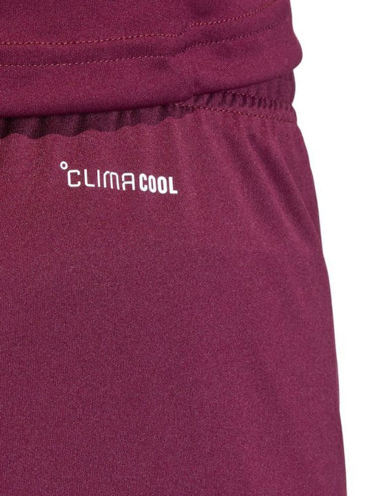 Herren Shorts Burgundy