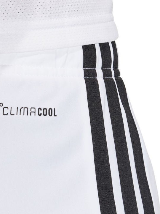 adidas Sports Men's White Shorts