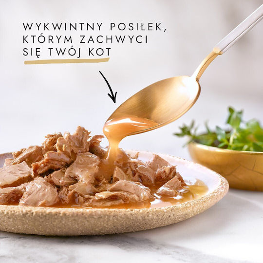 Gourmet Hrana Pentru Pisici Bătrâne Cu Carne De Vită 85gr